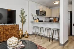 Modern Studio Near McCormick *Gym & Rooftop