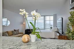 Modern Studio Near McCormick *Gym & Rooftop
