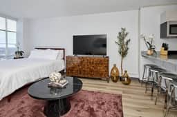 Modern Studio Near McCormick *Gym & Rooftop