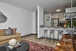 1BR Near South Loop Mccormick Place