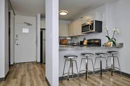 1BR Near South Loop Mccormick Place