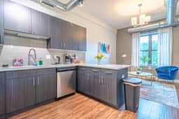 Chicago Luxurious 3BR | Near McCormick Place