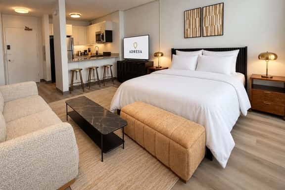 Downtown Chicago | Studio | Sleeps 4 - Image 1