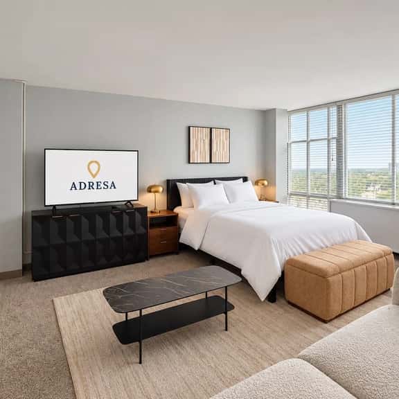Walkable to McCormick Center/Studio/Sleeps 4 - Image 1