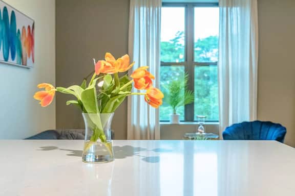 Chicago Luxurious 3BR | Near McCormick Place