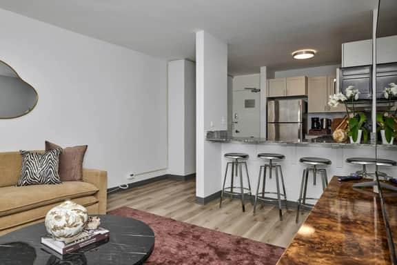 1BR Near South Loop Mccormick Place