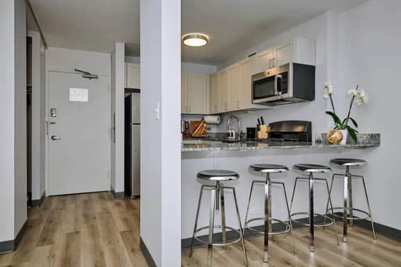1BR Near South Loop Mccormick Place