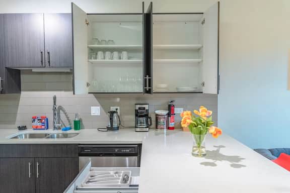 Chicago Luxurious 3BR | Near McCormick Place