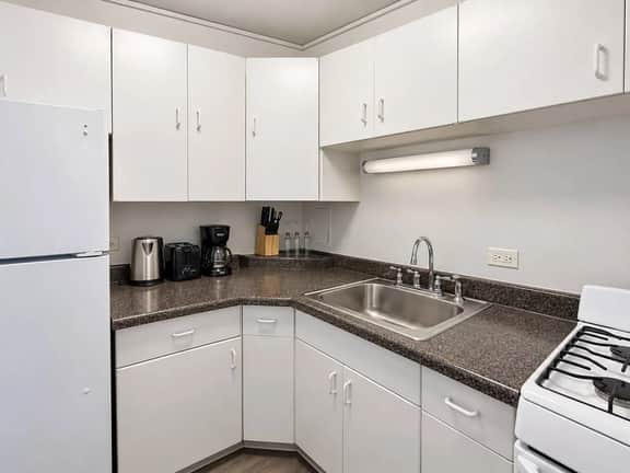 Walkable to McCormick Center/Studio/Sleeps 4 - Image 3