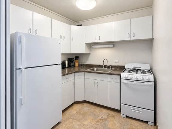 Chic 1BR near McCormick Place | Rooftop & Gym - Image 5