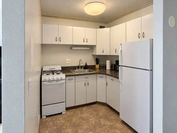 Chic 1BR near McCormick Place | Rooftop & Gym - Image 4